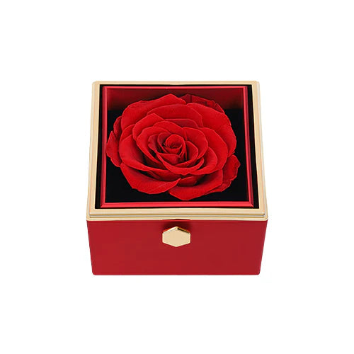 Rotating Eternal Rose